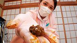 美人訪問ナースの○性スカトロ看護 れいかスカトロアダルト動画